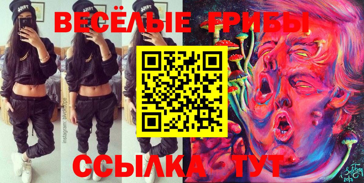 Киселёвск  Псилоцибиновые грибы GOLDEN TEACHER  где продают   Вход с VPN 