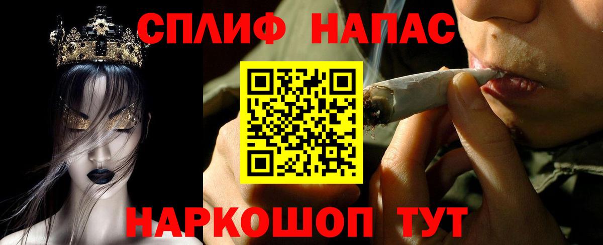 Каннабис сатива Киселёвск